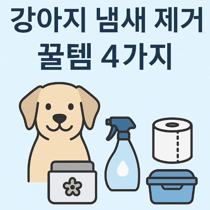 강아지 냄새 없애는 방법